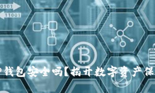 把币放TP钱包安全吗？揭开数字资产保护的真相